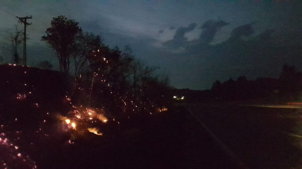 Grande incêndio em vegetação é registrado às margens da BR-467