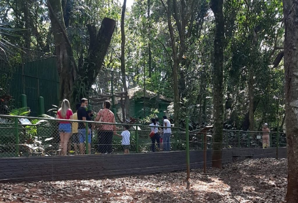 Zoológico de Cascavel recebe cerca de mil visitantes pela manhã desta terça-feira