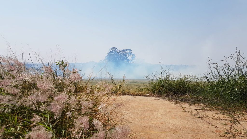 Grande incêndio em plantação ocorre no Loteamento Santa Fé; muita fumaça foi registrada por moradores