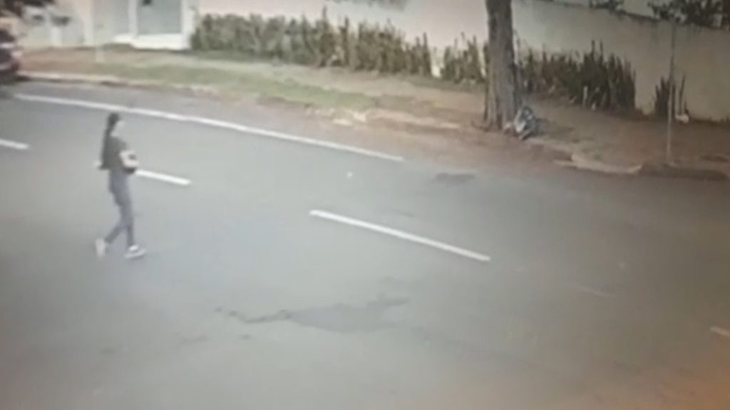 Câmera registra gato sendo furtado de residência no Bairro Neva Câmera registra gato sendo furtado de residência no Bairro Neva