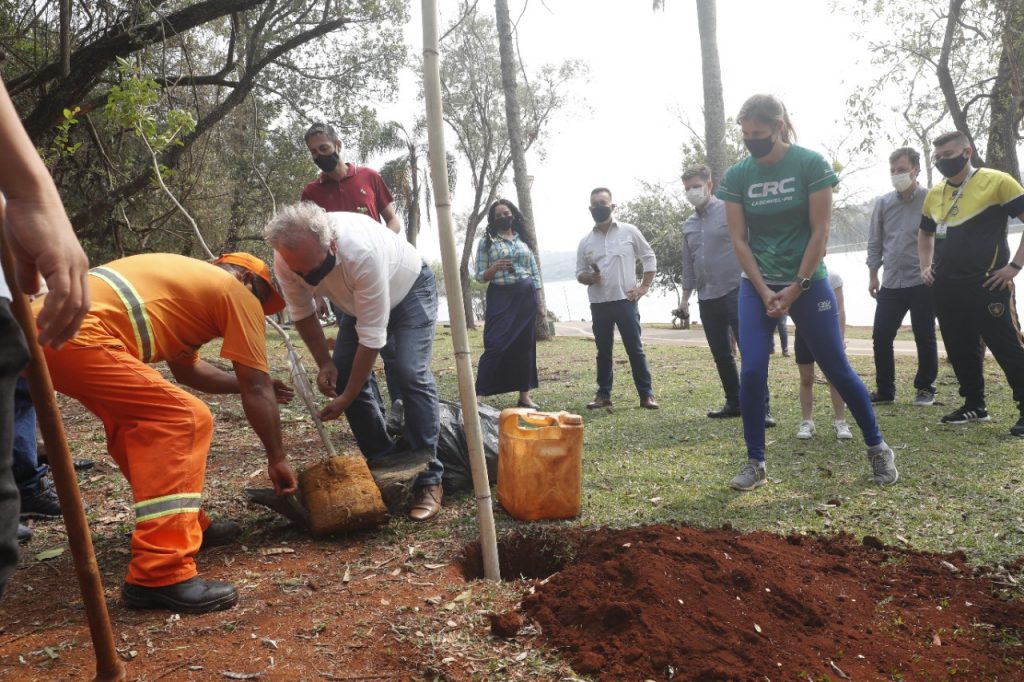 Dia da Árvore é comemorado com plantio no Lago Municipal