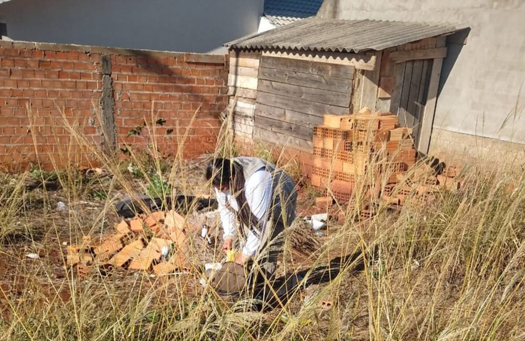 Boletim aponta seis casos de dengue em Cascavel