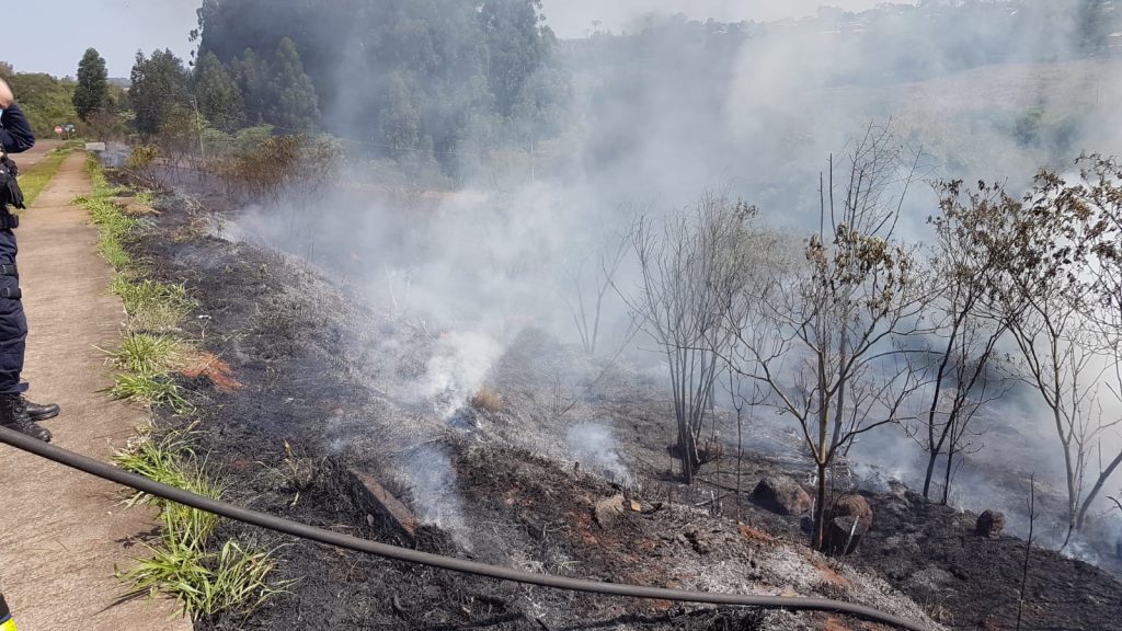 Incêndio de grandes proporções em vegetação mobiliza diversas equipes no Universitário