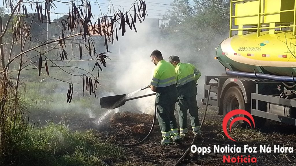 Incêndio ambiental prejudica visibilidade de motoristas na BR-277 e Ecocataratas é mobilizada
