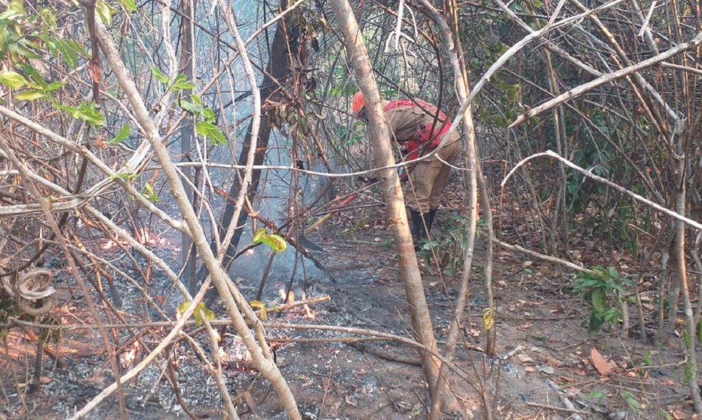 Chuva ajuda a apagar incêndios na Chapada dos Veadeiros