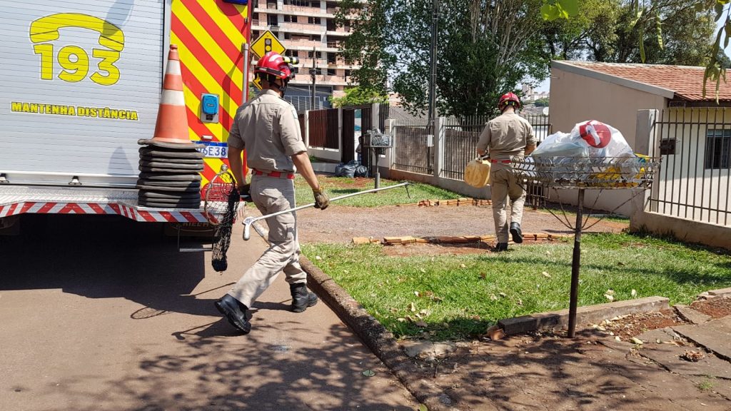 Bombeiros realizam a captura de um lagarto, na Vila Tolentino