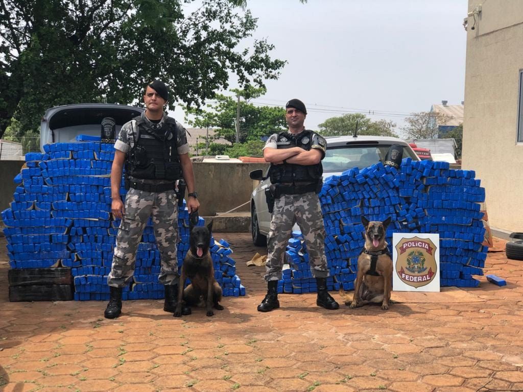 Ação entre PM e PF resulta na apreensão de mais de uma tonelada de maconha em Bela Vista do Paraíso