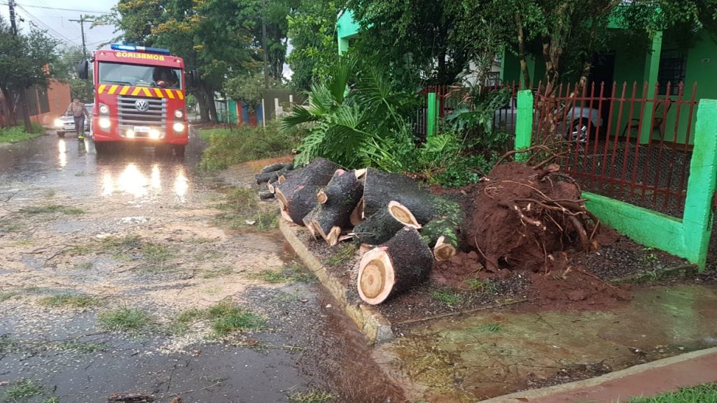 Árvore cai em via pública e Corpo de Bombeiros são mobilizados ao Bairro Periolo, em Cascavel