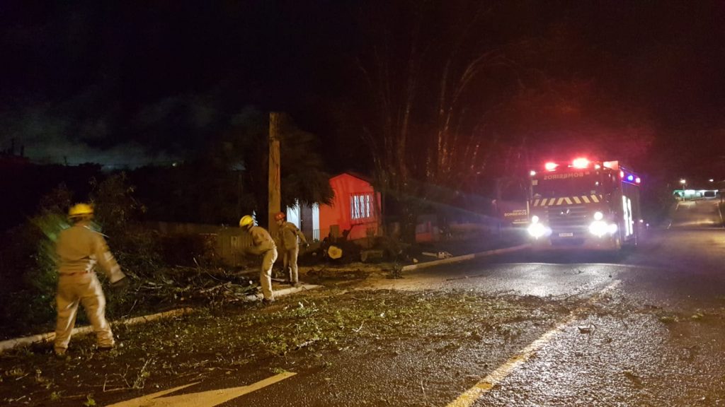 Árvore cai na Rua Afonso Pena e deixa residência sem energia elétrica
