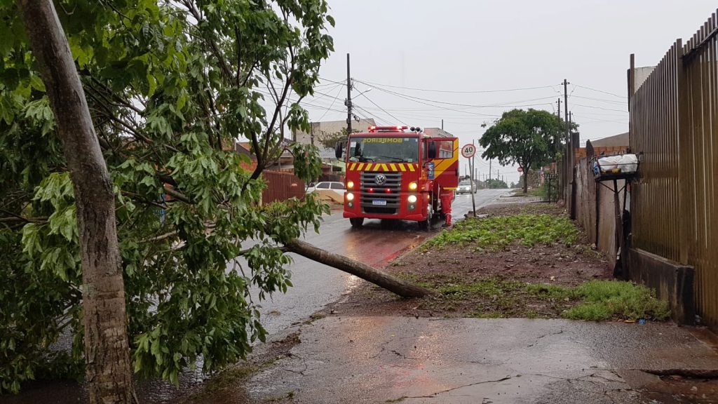 Corpo de Bombeiros é acionado para poda de árvore no Bairro Cascavel Velho