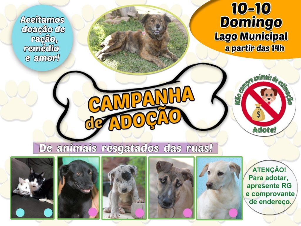 Campanha de adoção de cães será realizada neste domingo no Lago Municipal de Cascavel