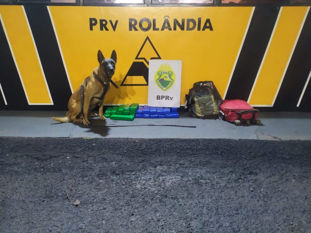 PRE apreende maconha em ônibus durante fiscalização no Contorno Norte de Rolândia