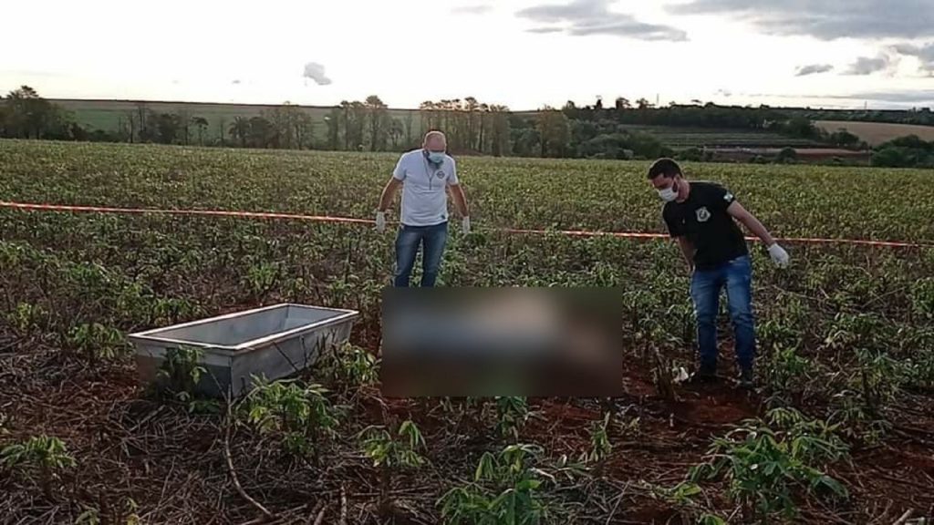 Corpo de homem, em avançado estado de decomposição, é encontrado em área de plantação em Campo Mourão