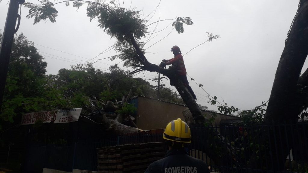 Árvore cai em estrutura de residência no Bairro Cataratas Árvore cai em estrutura de residência no Bairro Cataratas