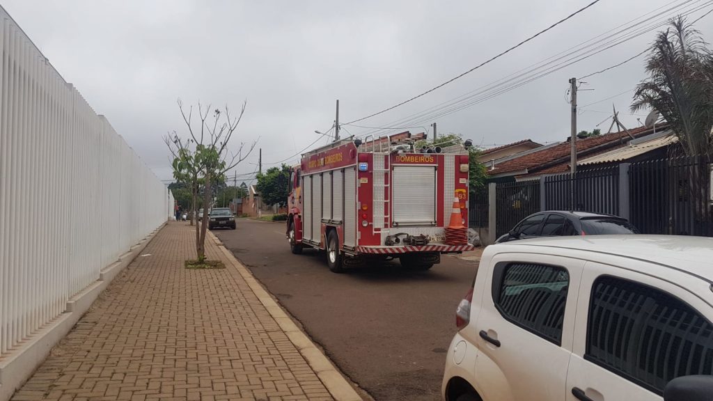 Cobra coral é capturada em colégio no Bairro Esmeralda Cobra coral é capturada em colégio no Bairro Esmeralda