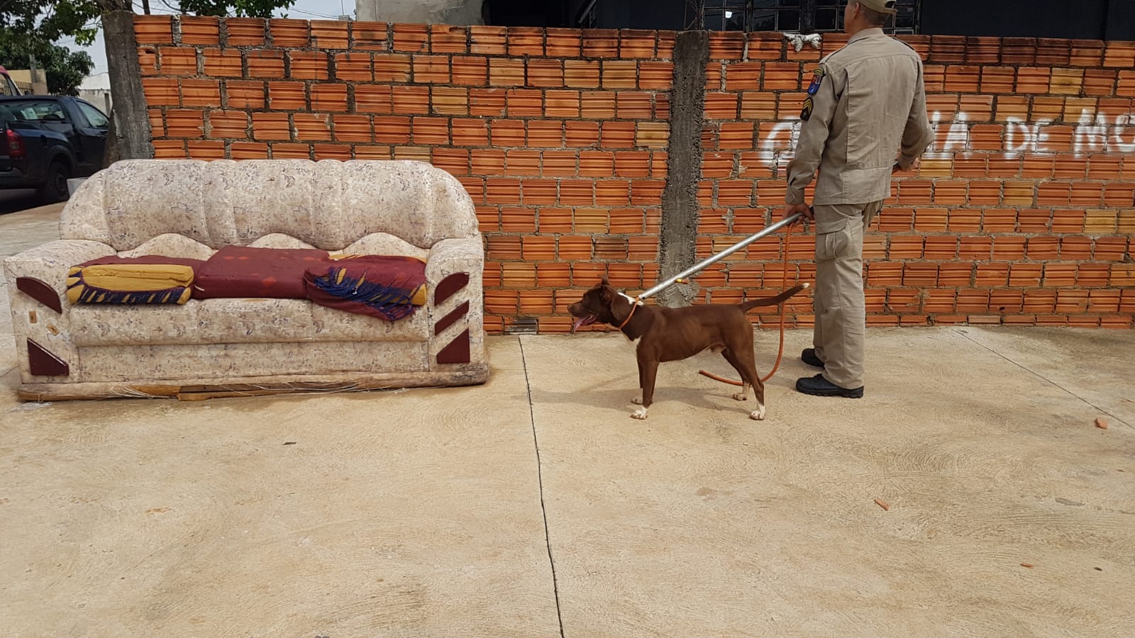 Para não abandonar cachorro, homem que passou mal e foi socorrido pelo Samu recusou encaminhamento Imagem referente a Para não abandonar cachorro, homem que passou mal e foi socorrido pelo Samu recusou encaminhamento