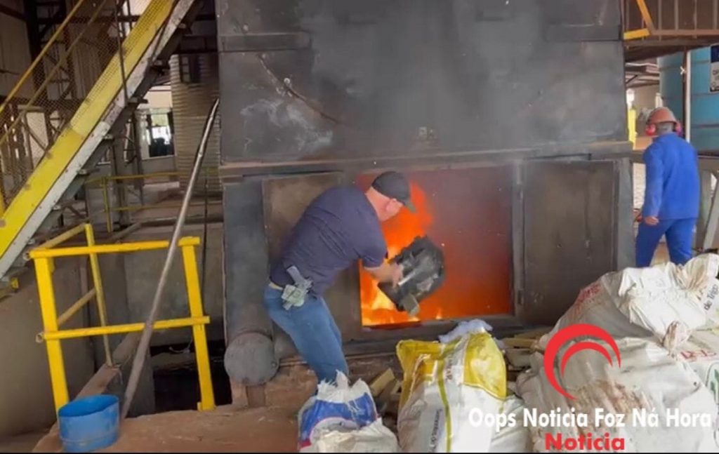 Delegacia de Santa Terezinha de Itaipu conclui a 4ª incineração de drogas em menos de 60 dias