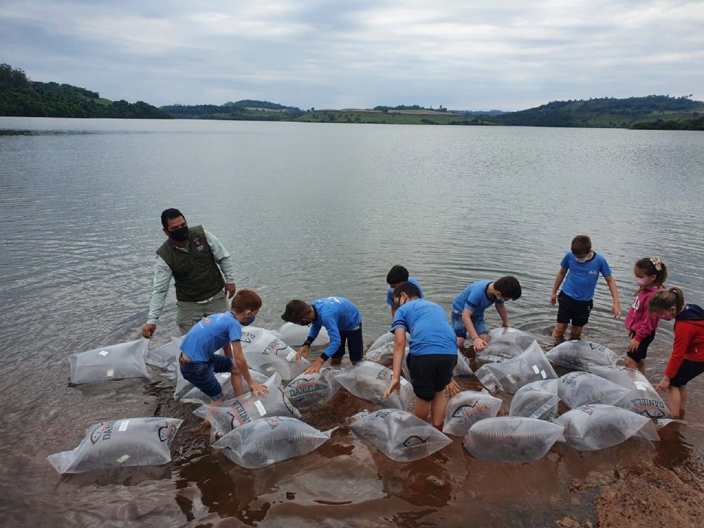 Rio Iguaçu recebe mais 310 mil peixes nativos em ação do Estado