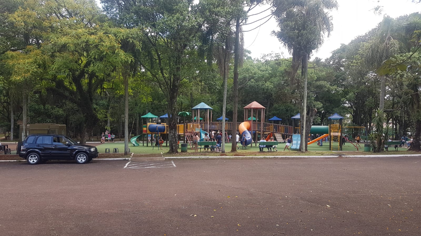 Zoológico de Cascavel ficará fechado temporariamente em razão da queda de árvores
