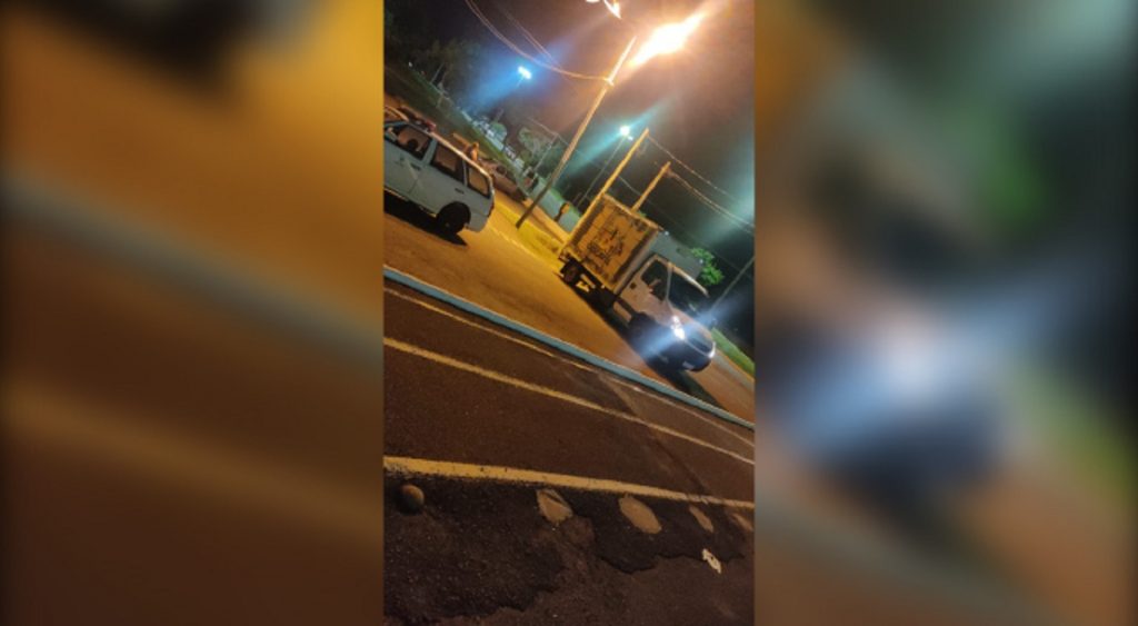 Capivara é atropelada por automóvel no Lago Municipal de Cascavel