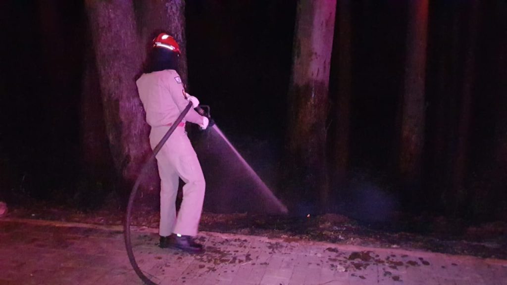 Bombeiros combatem incêndio em plantação de eucalipto no Bairro XIV de Novembro