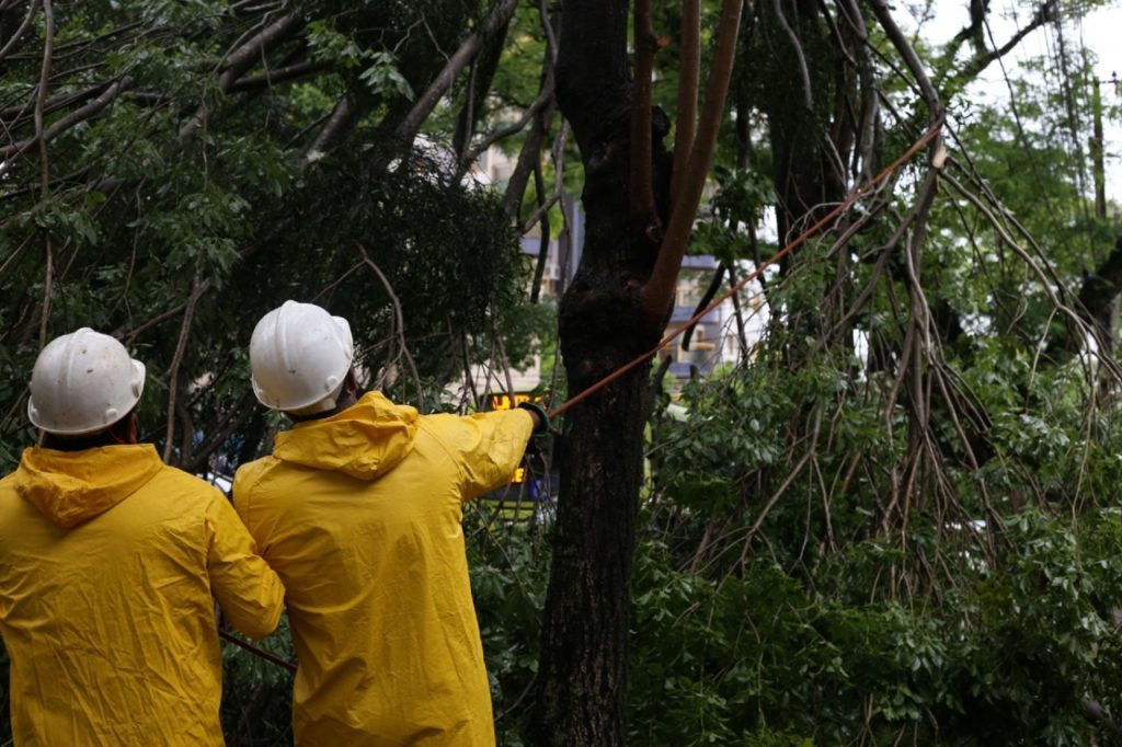Equipes da Defesa Civil trabalham para resolver estragos causados pelo temporal em Foz do Iguaçu