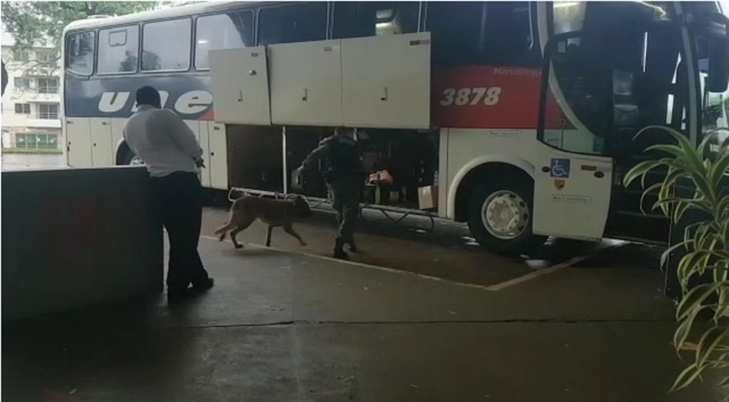 Com o cão ‘Stark’, BPFron realiza série de abordagens para fiscalização na Rodoviária de Cascavel