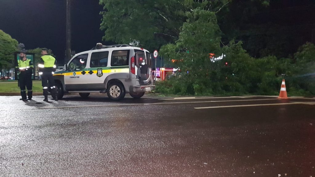 Árvore fica caída em via pública em frente ao UPA Tancredo em Cascavel