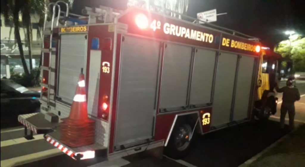 Bombeiros fazem captura de porco espinho na Avenida Barão do Rio Branco