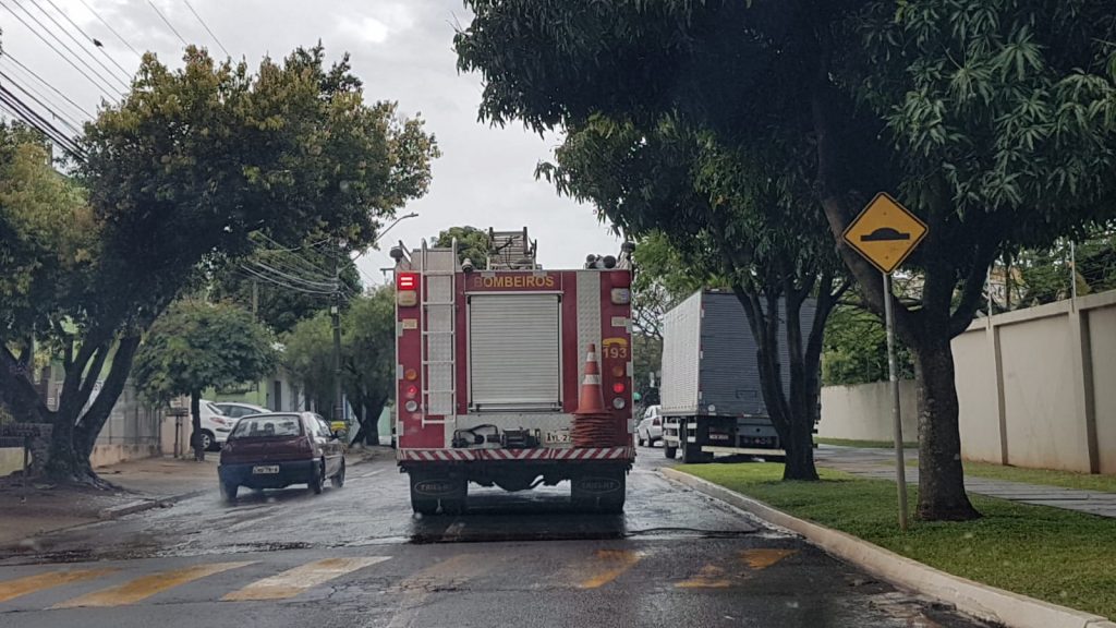Bombeiros são acionados para ajudar cachorrinho que havia ficado com a cabeça presa em uma grade