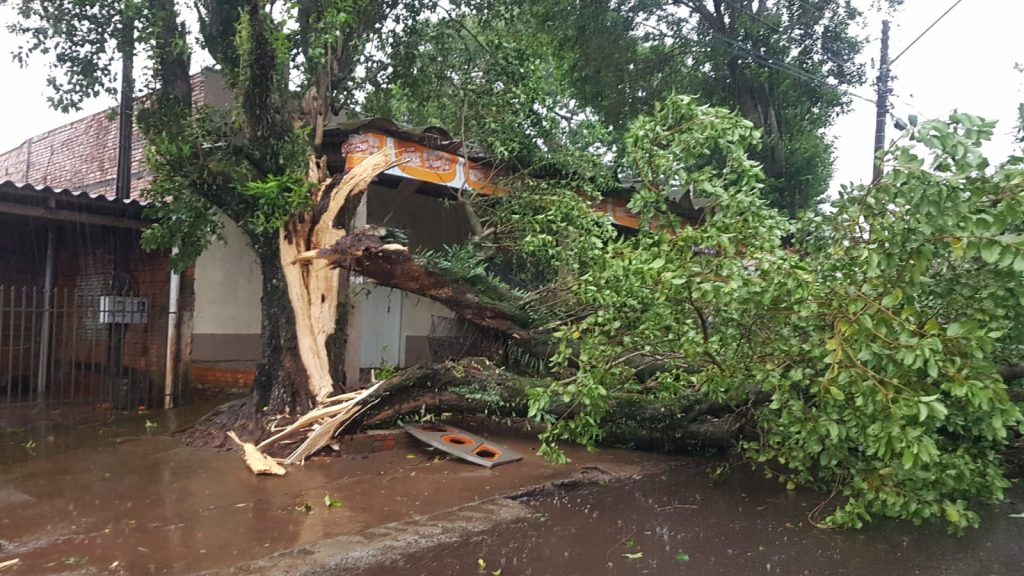 Tempestade deixa rastros de destruição em Cascavel