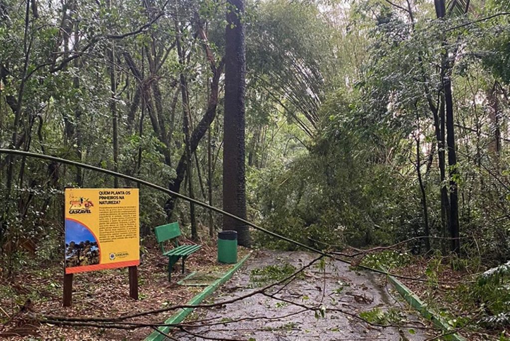 Zoo ficará fechado após queda de árvores neste sábado