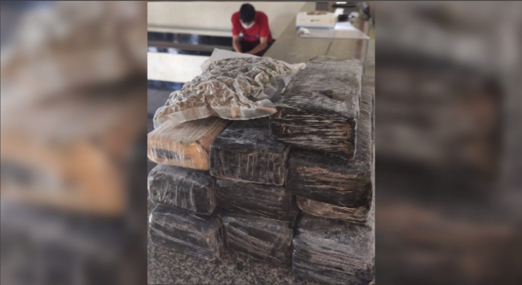 PM apreende 7,7 quilos de maconha durante abordagem a ônibus em Capitão L. Marques