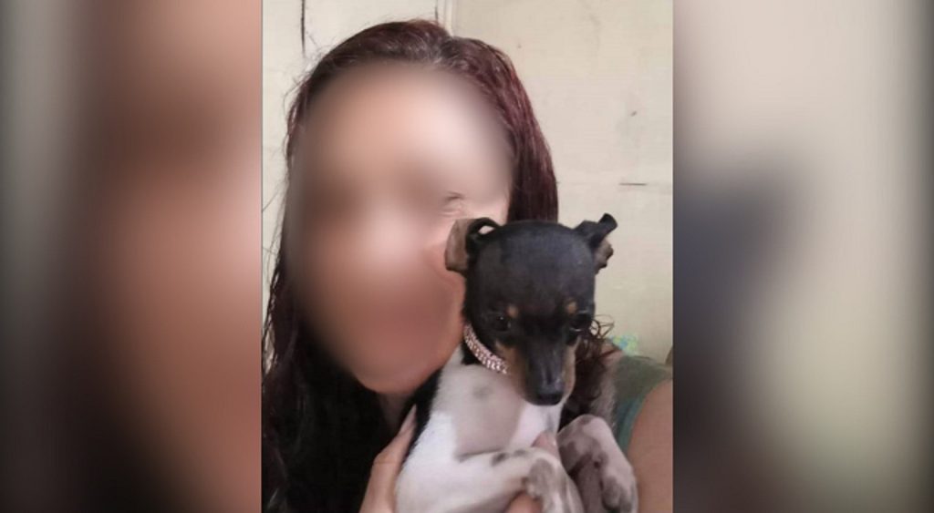 Cachorrinha Pipoca desapareceu em Cascavel