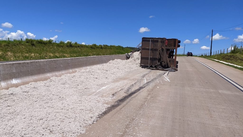 Bitrem carregado com sementes de algodão tomba na BR-163 e carga fica espalhada pela pista