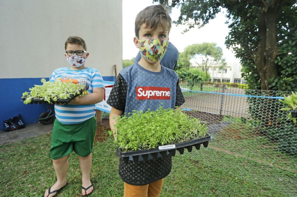 Alunos do Cetea participam de projeto de educação ambiental