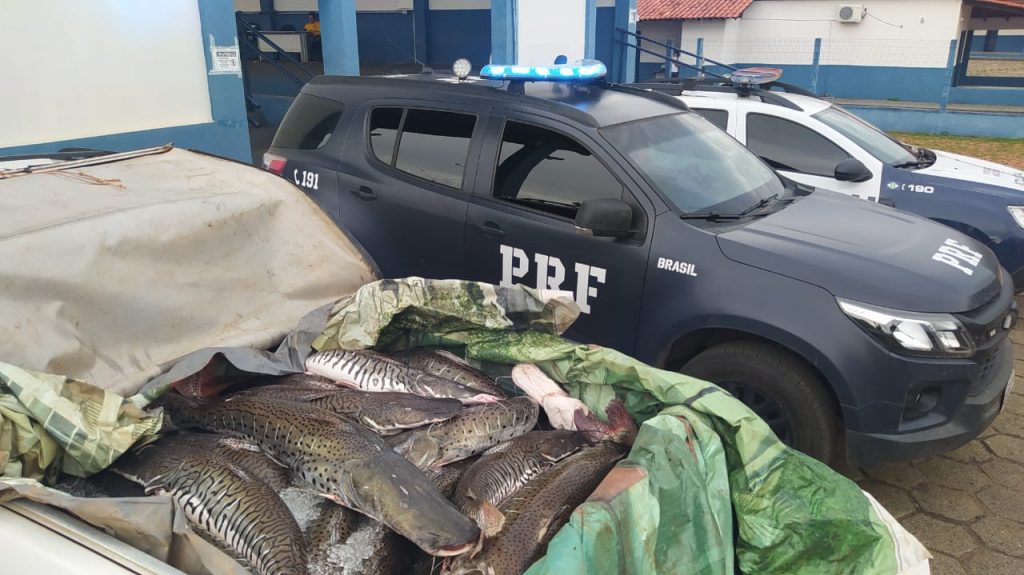 Policiais apreendem mercadoria (pescado) transportado sem nota fiscal na BR 364