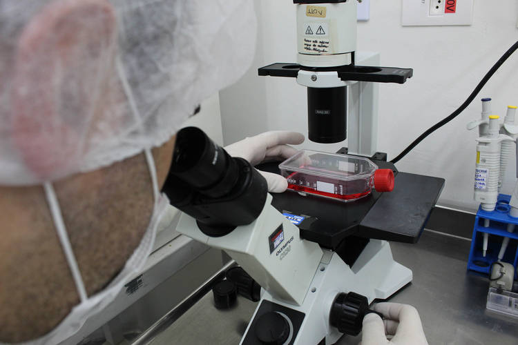 Tecpar estuda novas parcerias para otimizar soluções na área da saúde Imagem referente a Tecpar estuda novas parcerias para otimizar soluções na área da saúde