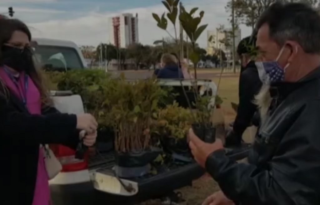 Grupo Amigos dos Rios realiza plantio de árvore neste sábado (13)