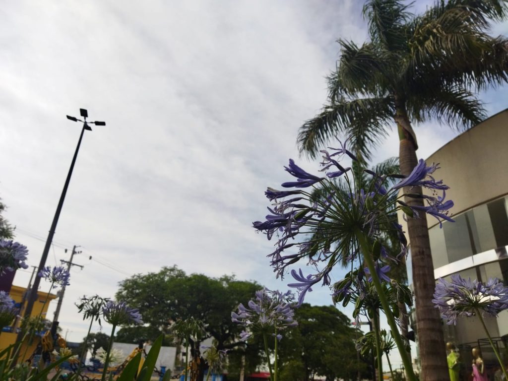 Segundo Simepar não há previsão de chuva para o ‘feriadão’ (15), em Cascavel Segundo Simepar não há previsão de chuva para o ‘feriadão’ (15), em Cascavel