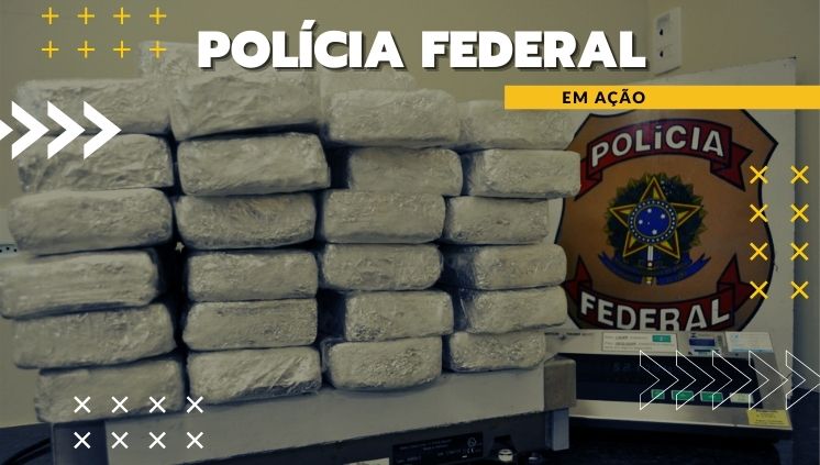 PF investiga novos fatos relacionados à apreensão de quase 500 kg de cocaína em Santos/SP.