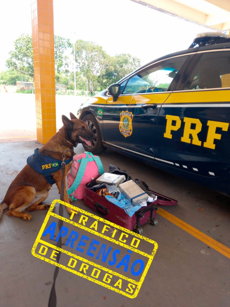 Nossos PRF’s apreendem 2 kg de cocaína com passageira de ônibus interestadual, em Cuiabá/MT