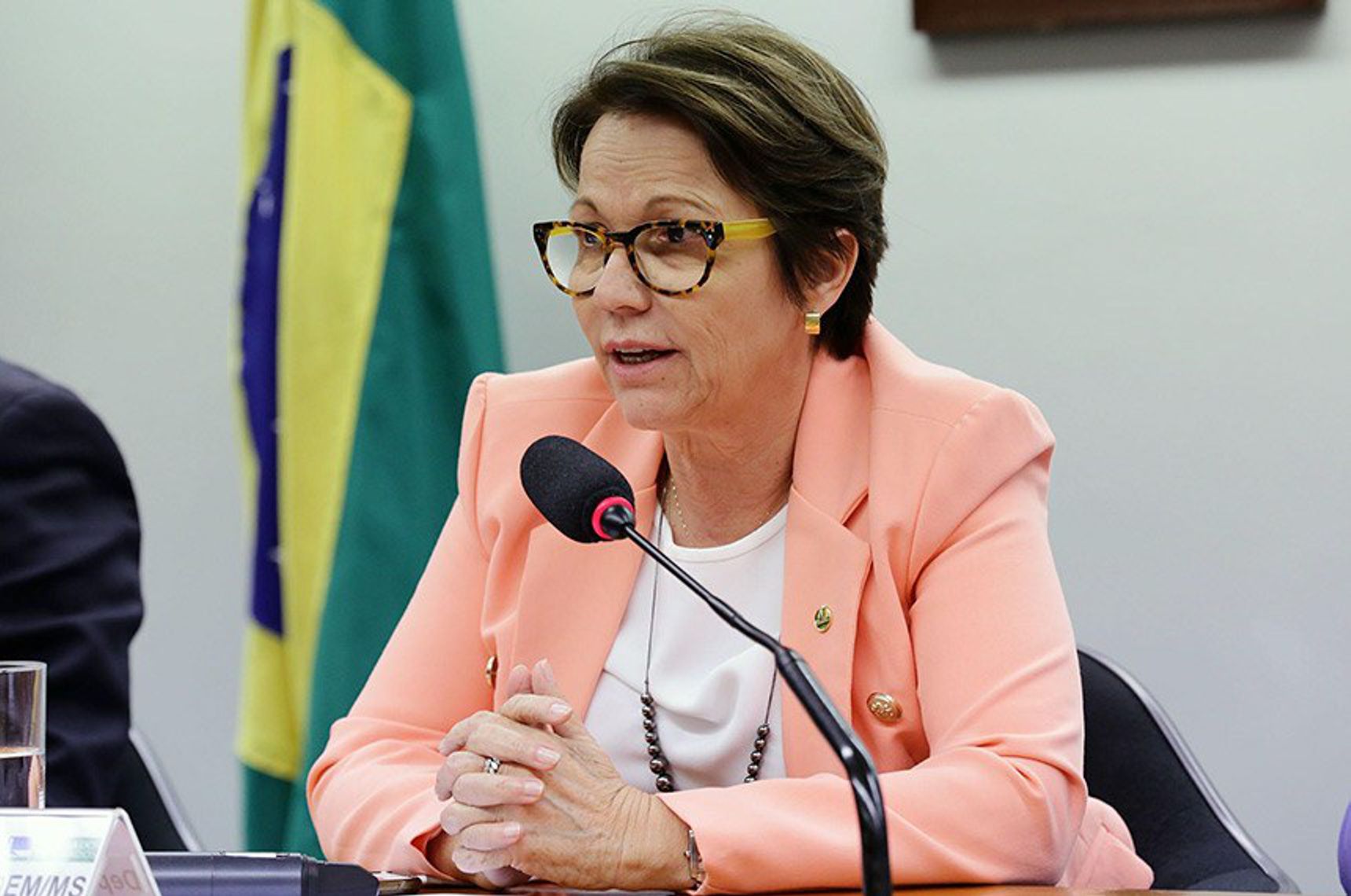 POD recebe a ministra – por Caio Gottlieb