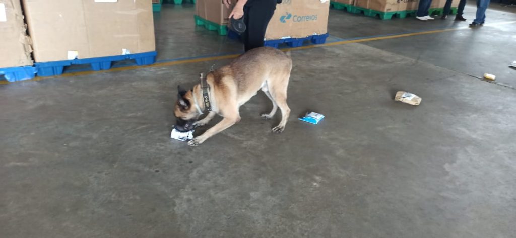PF deflagra Operação Tracking para combater tráfico de drogas por via postal
