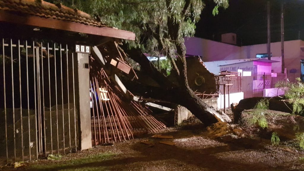 Árvore cai em residência no Bairro Santa Cruz e causa estragos