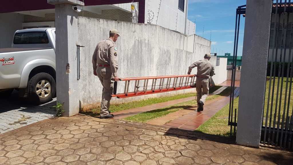 Defesa Civil e Bombeiros realizam retirada de vespas na sede do Gaeco