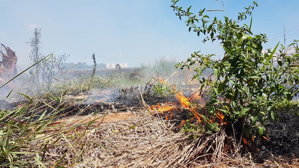 Incêndio em vegetação gera reclamação no Jd. Mantovani
