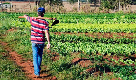 TRF4 concede benefício a agricultor com degeneração na coluna e contraria laudo