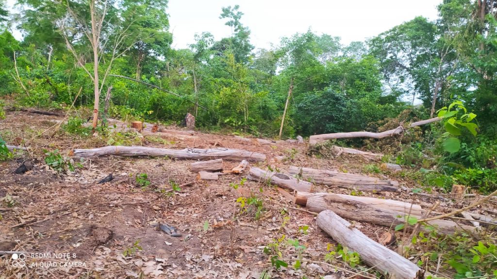 Operação Juriti combate desmatamento em Terra Indígena Urucu-Juruá