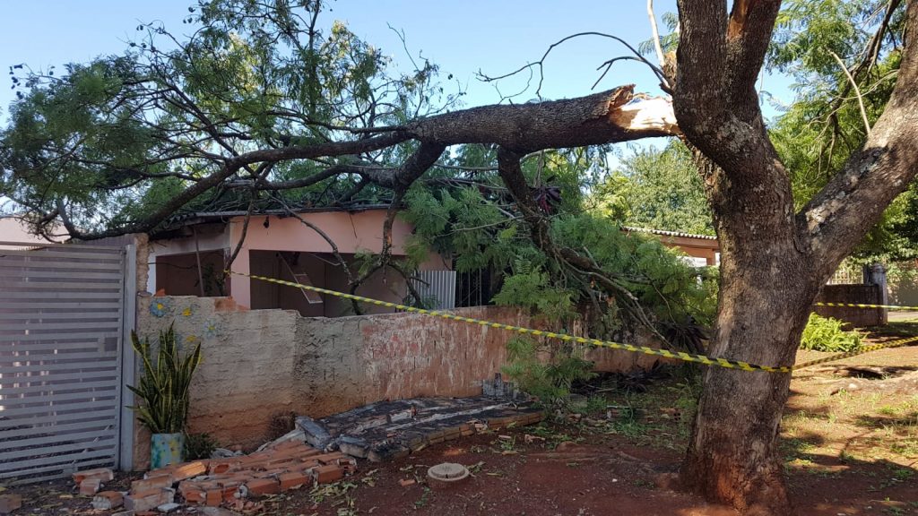 Árvore cai e destrói telhado de uma residência no Bairro Maria Luiza